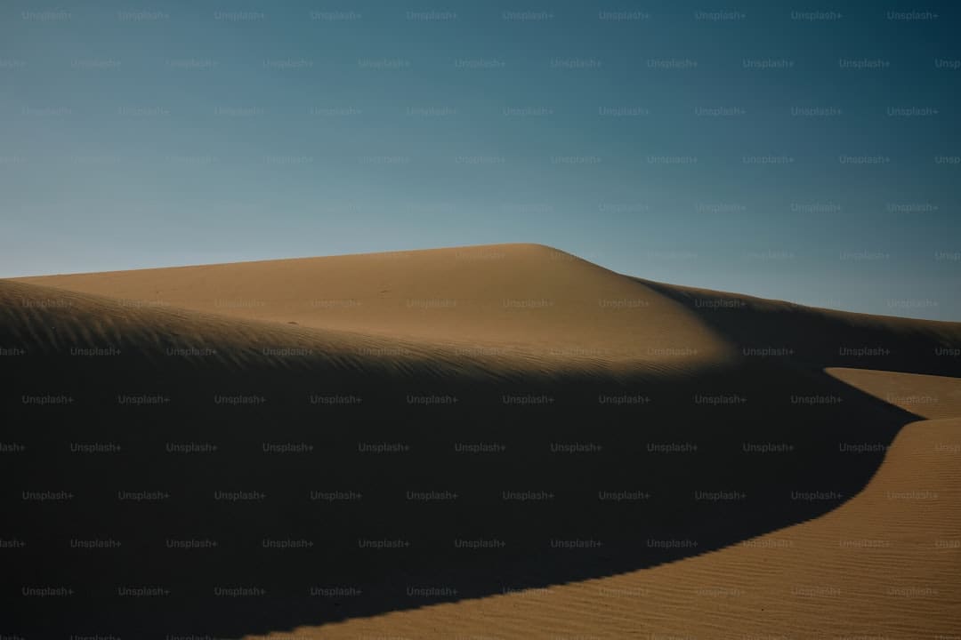 诏安梅岭：七夕献血传递爱 志愿服务暖人心